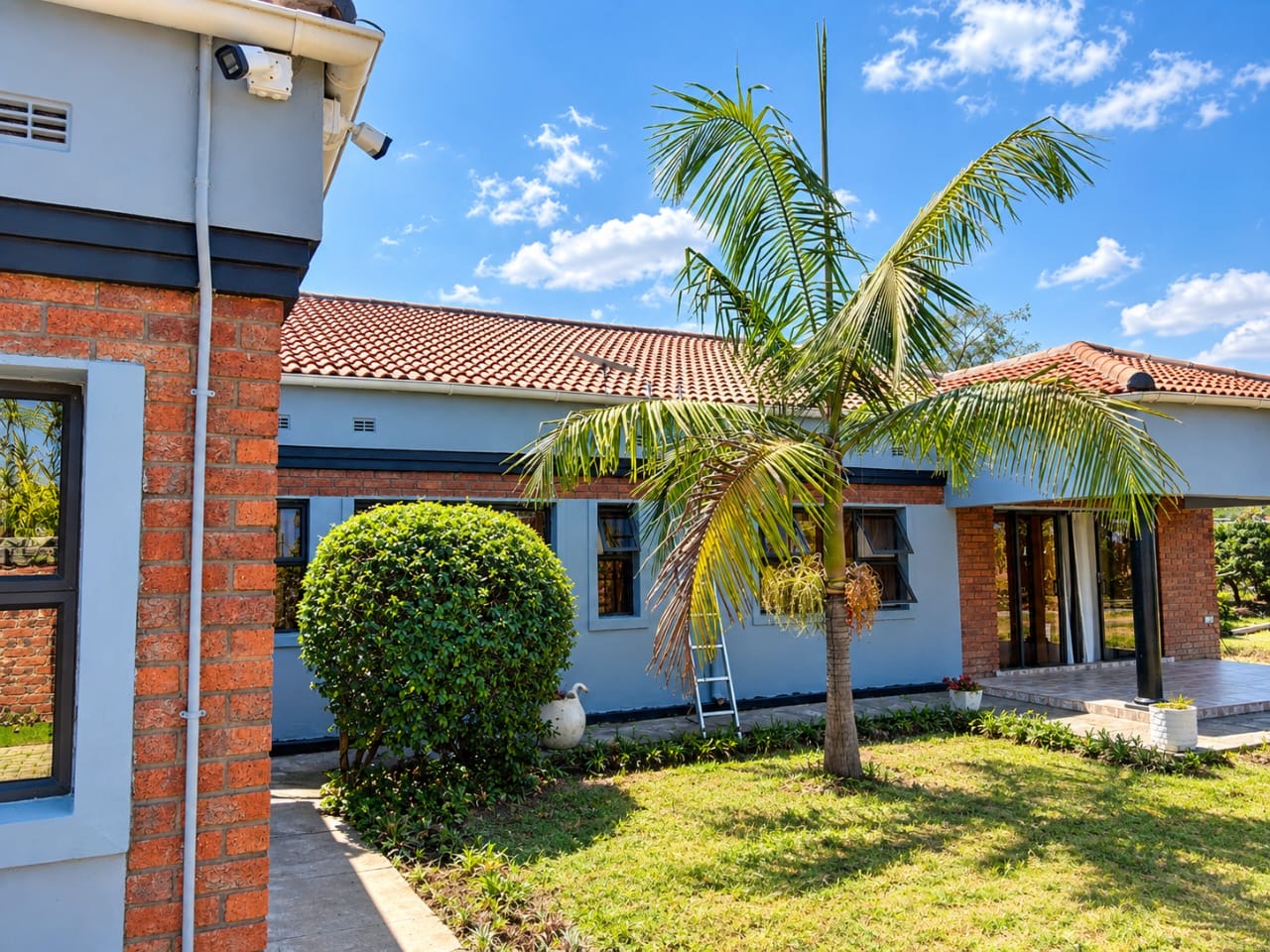 Palm trees and the estate veranda
